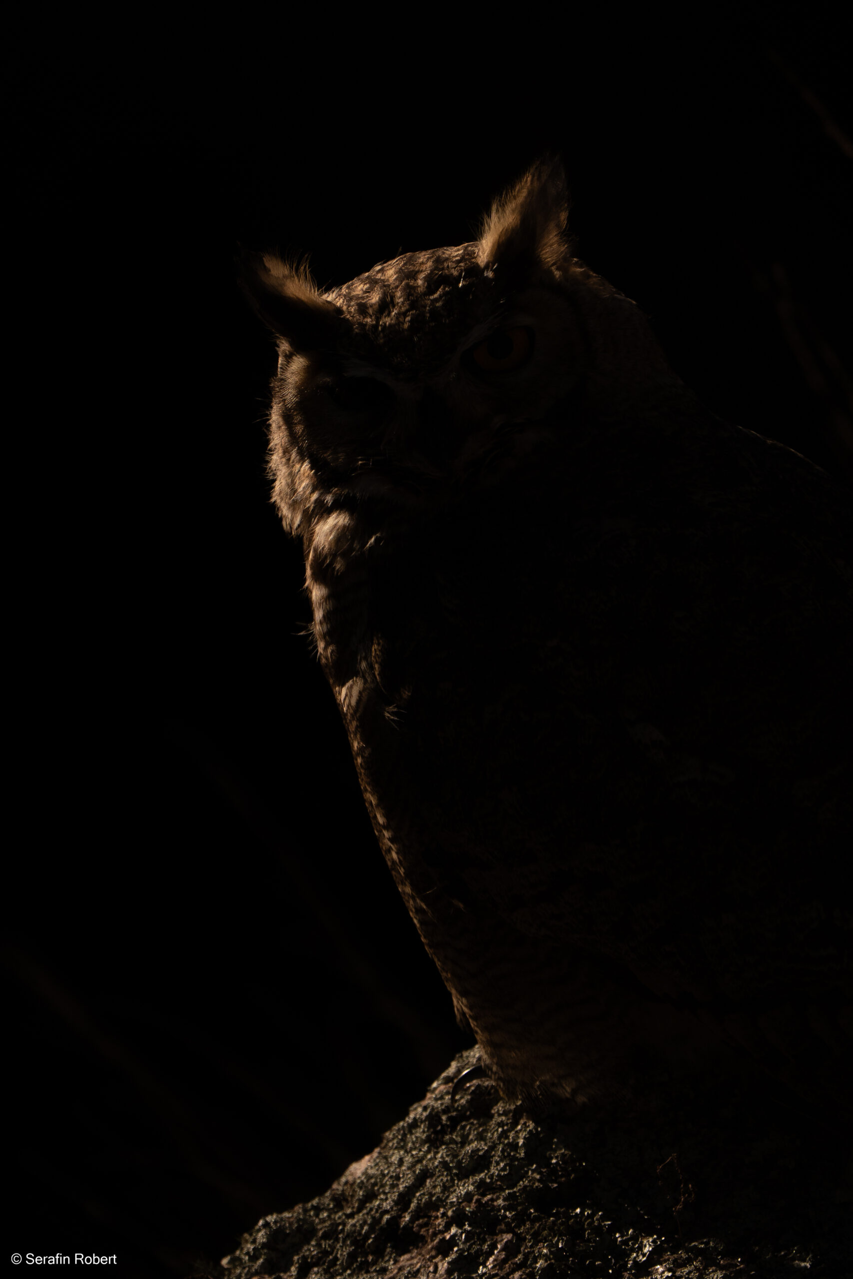 _DSC5557