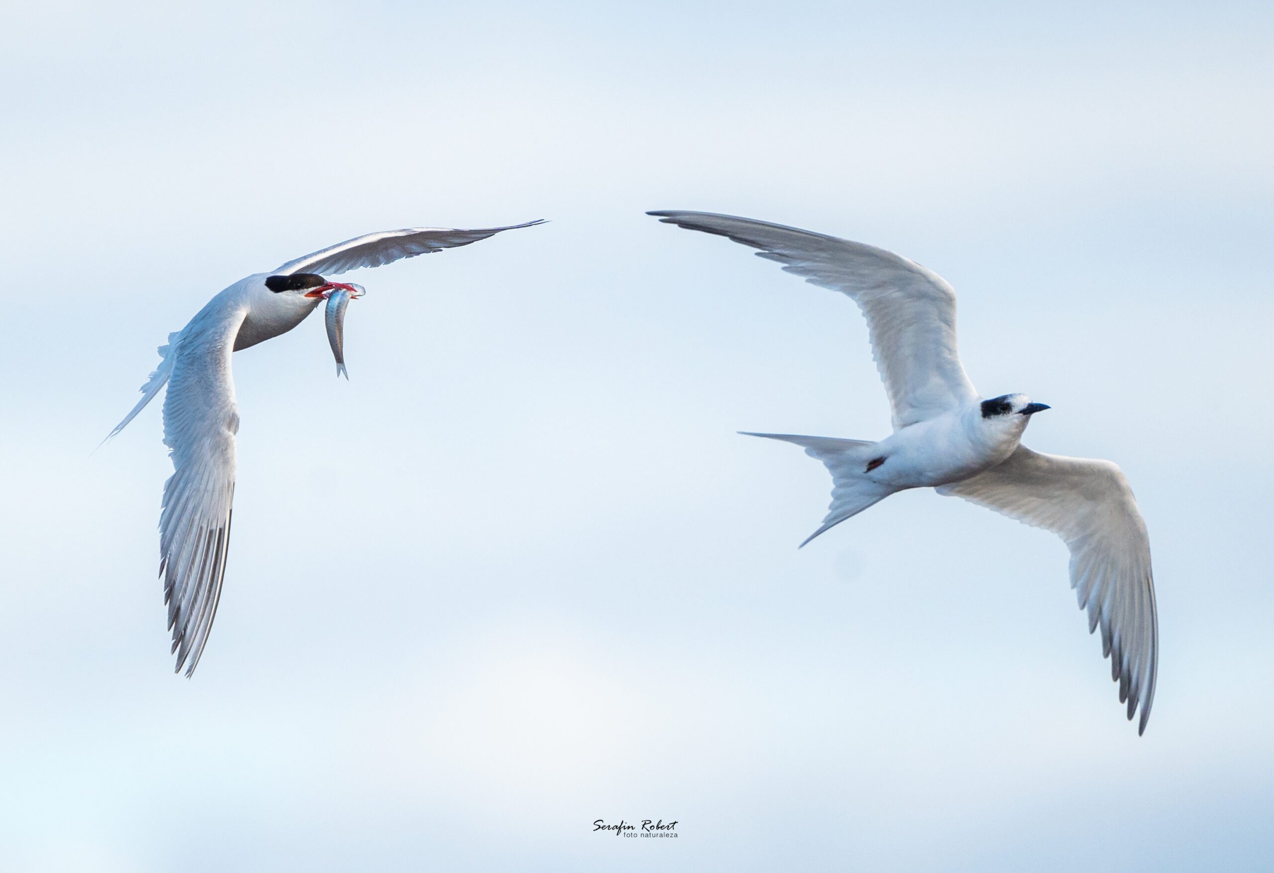 _DSC3505-Editar-2
